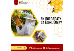 Поради пр догляду за бджолами від Bee Market