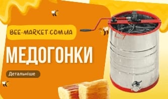 banner1